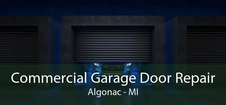 Commercial Garage Door Repair Algonac - MI