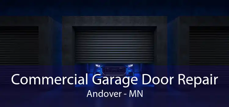 Commercial Garage Door Repair Andover - MN