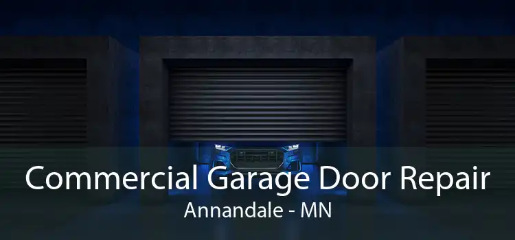Commercial Garage Door Repair Annandale - MN