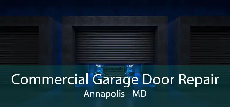 Commercial Garage Door Repair Annapolis - MD