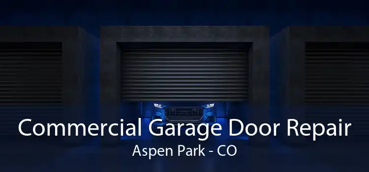 Commercial Garage Door Repair Aspen Park - CO