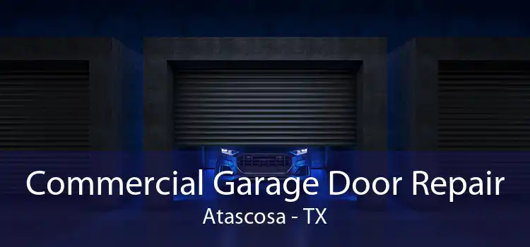Commercial Garage Door Repair Atascosa - TX