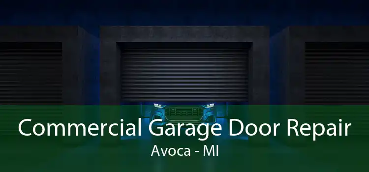 Commercial Garage Door Repair Avoca - MI
