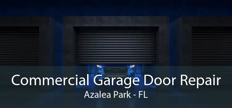 Commercial Garage Door Repair Azalea Park - FL