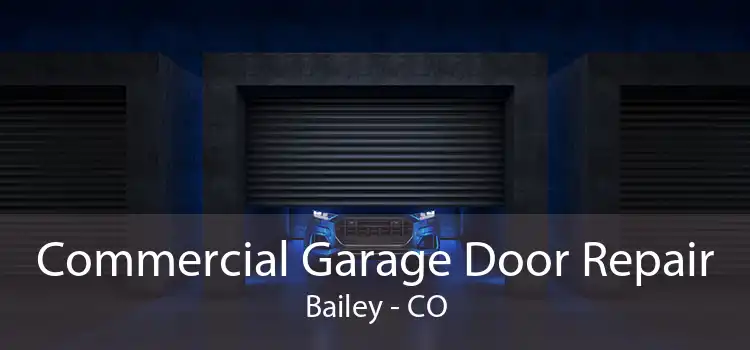 Commercial Garage Door Repair Bailey - CO