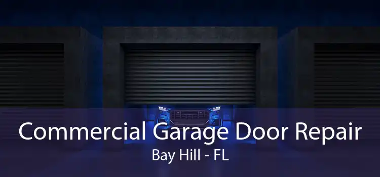 Commercial Garage Door Repair Bay Hill - FL