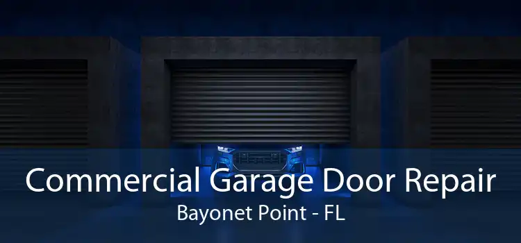 Commercial Garage Door Repair Bayonet Point - FL