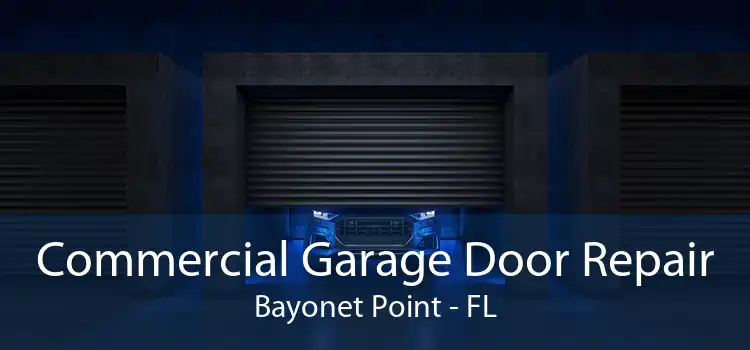  Commercial Garage Door Repair Bayonet Point - FL