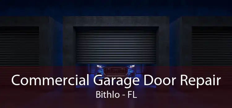 Commercial Garage Door Repair Bithlo - FL