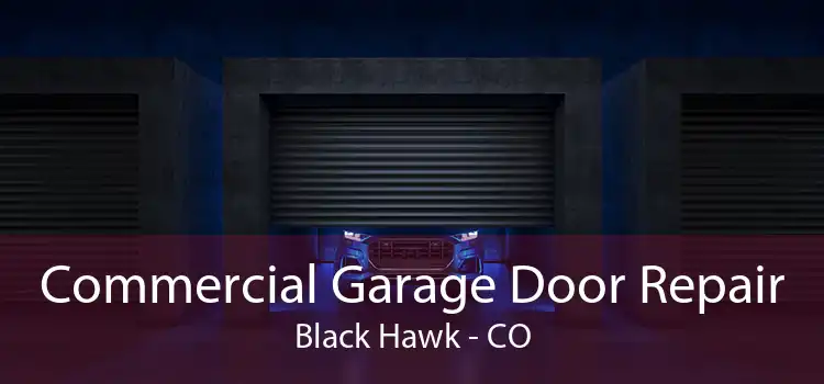 Commercial Garage Door Repair Black Hawk - CO