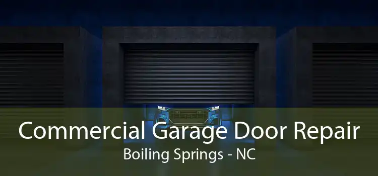 Commercial Garage Door Repair Boiling Springs - NC