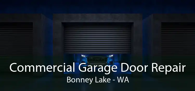 Commercial Garage Door Repair Bonney Lake - WA