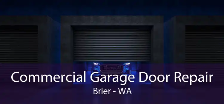Commercial Garage Door Repair Brier - WA