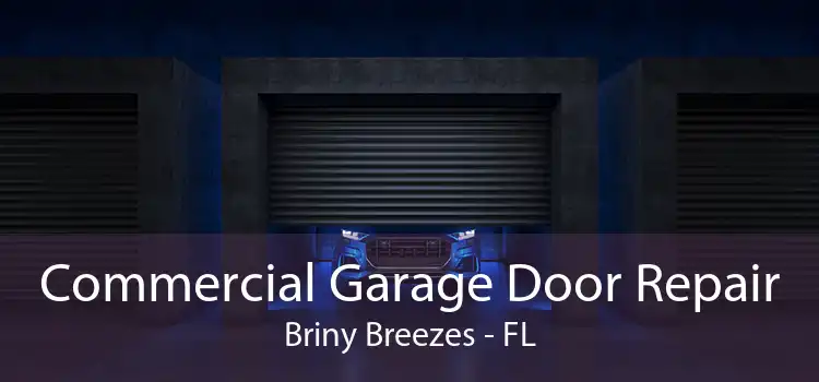 Commercial Garage Door Repair Briny Breezes - FL