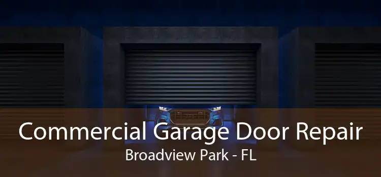 Commercial Garage Door Repair Broadview Park - FL
