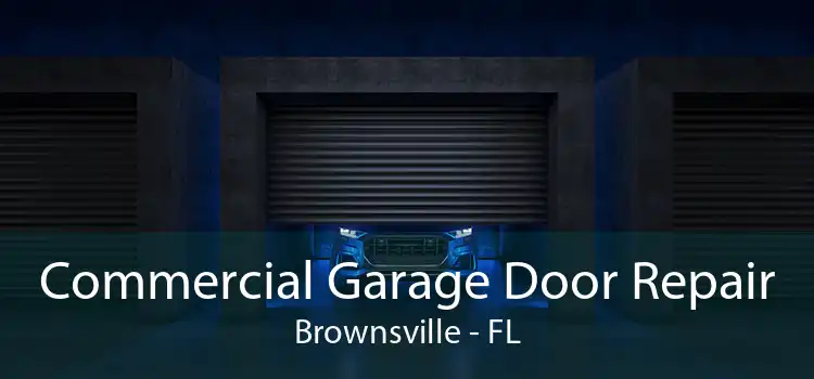 Commercial Garage Door Repair Brownsville - FL