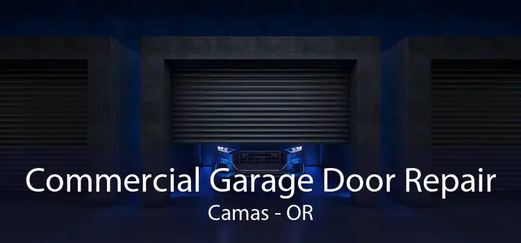 Commercial Garage Door Repair Camas - OR