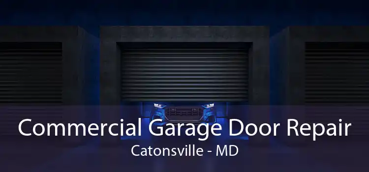 Commercial Garage Door Repair Catonsville - MD