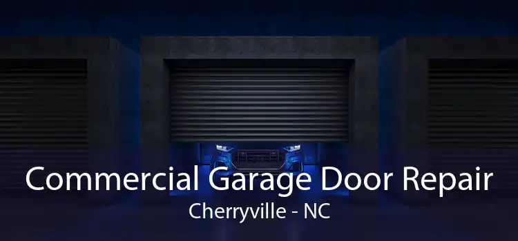 Commercial Garage Door Repair Cherryville - NC