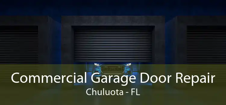 Commercial Garage Door Repair Chuluota - FL