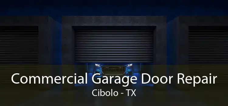 Commercial Garage Door Repair Cibolo - TX