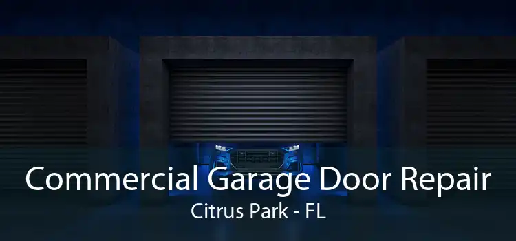 Commercial Garage Door Repair Citrus Park - FL