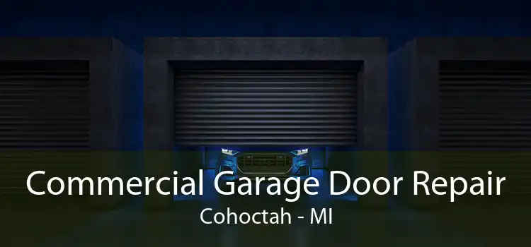 Commercial Garage Door Repair Cohoctah - MI