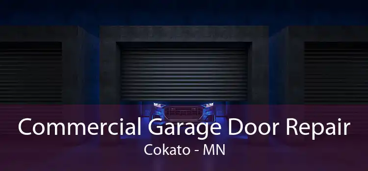 Commercial Garage Door Repair Cokato - MN