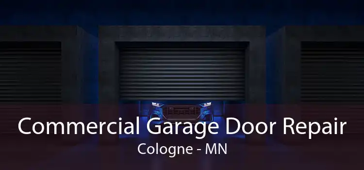 Commercial Garage Door Repair Cologne - MN