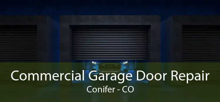 Commercial Garage Door Repair Conifer - CO