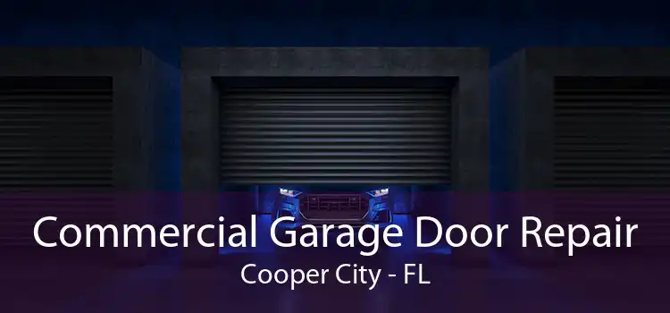 Commercial Garage Door Repair Cooper City - FL