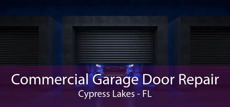 Commercial Garage Door Repair Cypress Lakes - FL