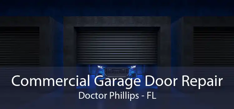 Commercial Garage Door Repair Doctor Phillips - FL