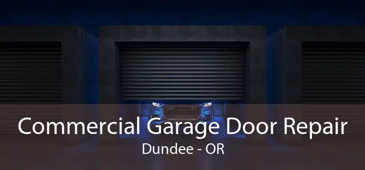 Commercial Garage Door Repair Dundee - OR
