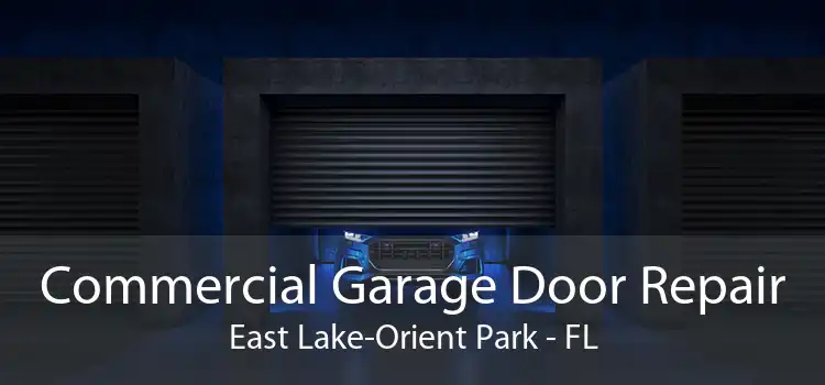 Commercial Garage Door Repair East Lake-Orient Park - FL