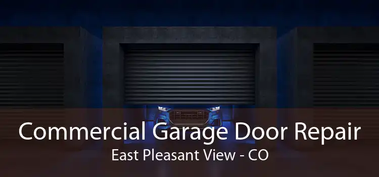 Commercial Garage Door Repair East Pleasant View - CO