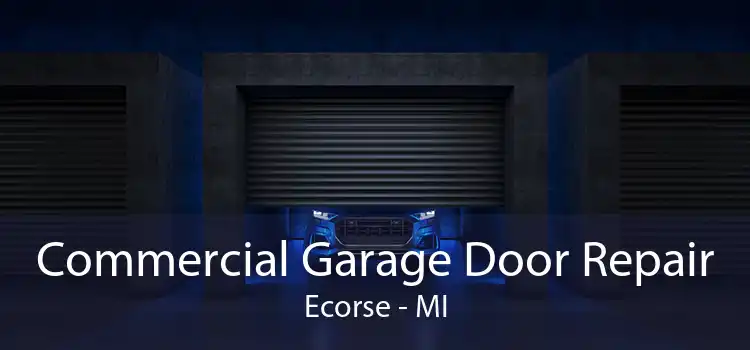 Commercial Garage Door Repair Ecorse - MI