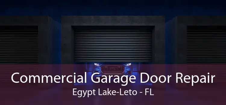 Commercial Garage Door Repair Egypt Lake-Leto - FL
