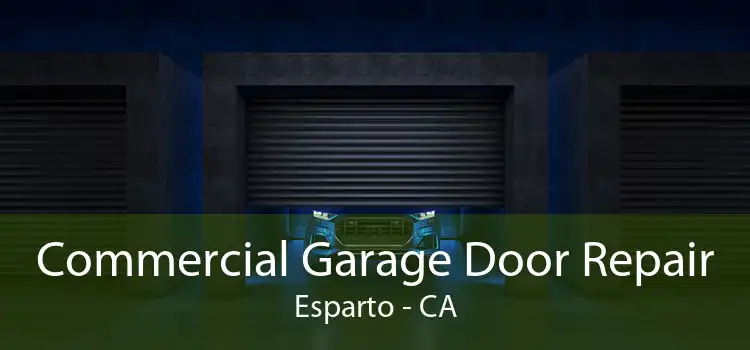 Commercial Garage Door Repair Esparto - CA