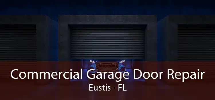 Commercial Garage Door Repair Eustis - FL