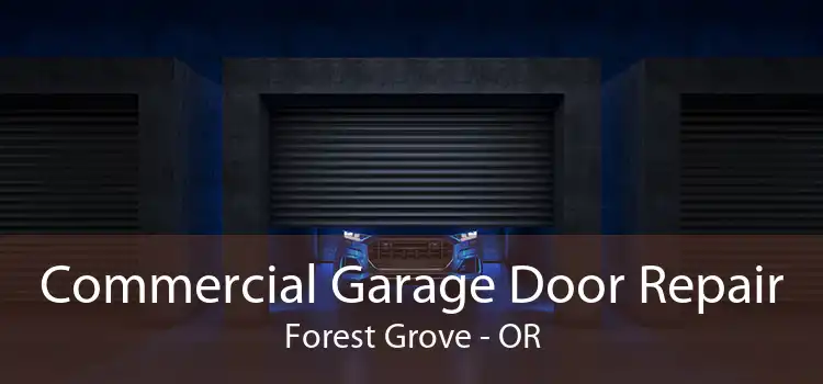 Commercial Garage Door Repair Forest Grove - OR