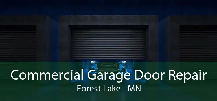 Commercial Garage Door Repair Forest Lake - MN