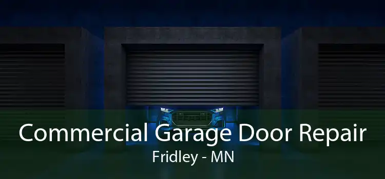 Commercial Garage Door Repair Fridley - MN