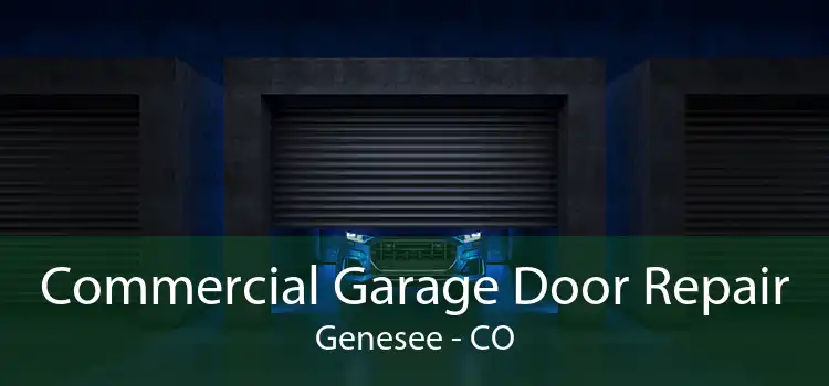 Commercial Garage Door Repair Genesee - CO