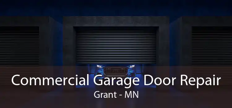 Commercial Garage Door Repair Grant - MN