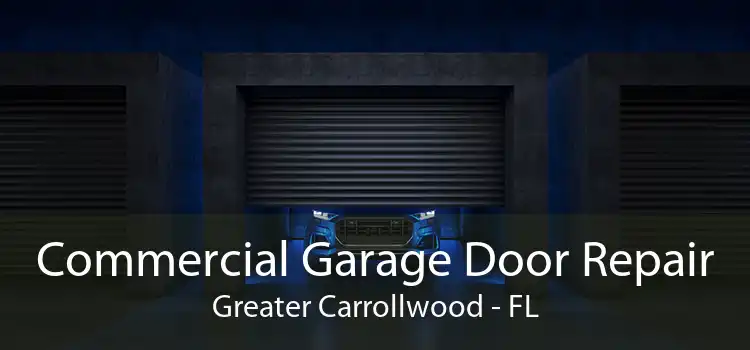 Commercial Garage Door Repair Greater Carrollwood - FL