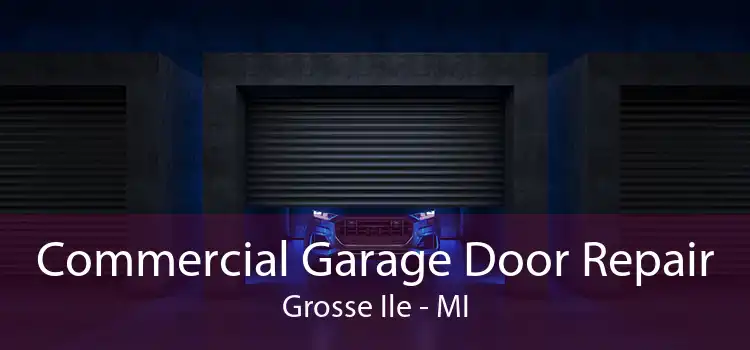 Commercial Garage Door Repair Grosse Ile - MI