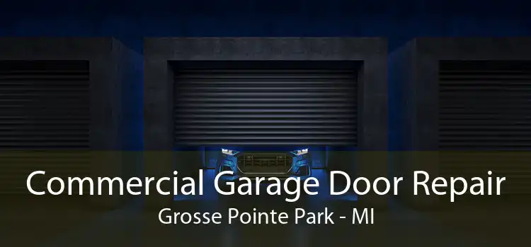 Commercial Garage Door Repair Grosse Pointe Park - MI