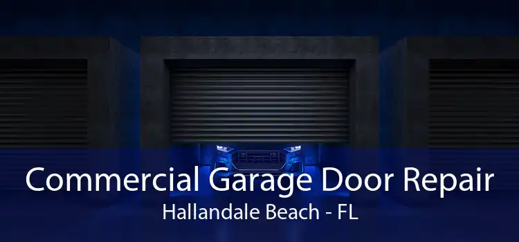 Commercial Garage Door Repair Hallandale Beach - FL