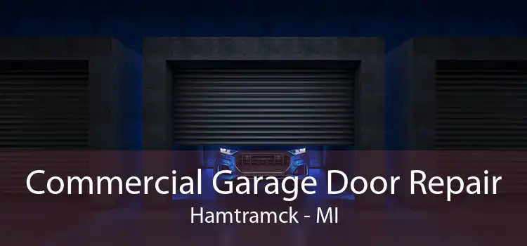 Commercial Garage Door Repair Hamtramck - MI